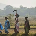 Higher household income, lower education levels determinants of women’s labour force participation: Report