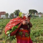 The Feminisation of Climate Change Economics