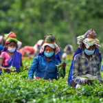 What is keeping women from going to work?