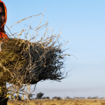 India must put women and girls at the centre of its economic recovery plans