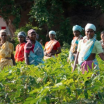 Urban Women Witnessed Most Disproportionate Impact Of Job Losses Due To COVID