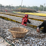 The stark gender gap in market linkages